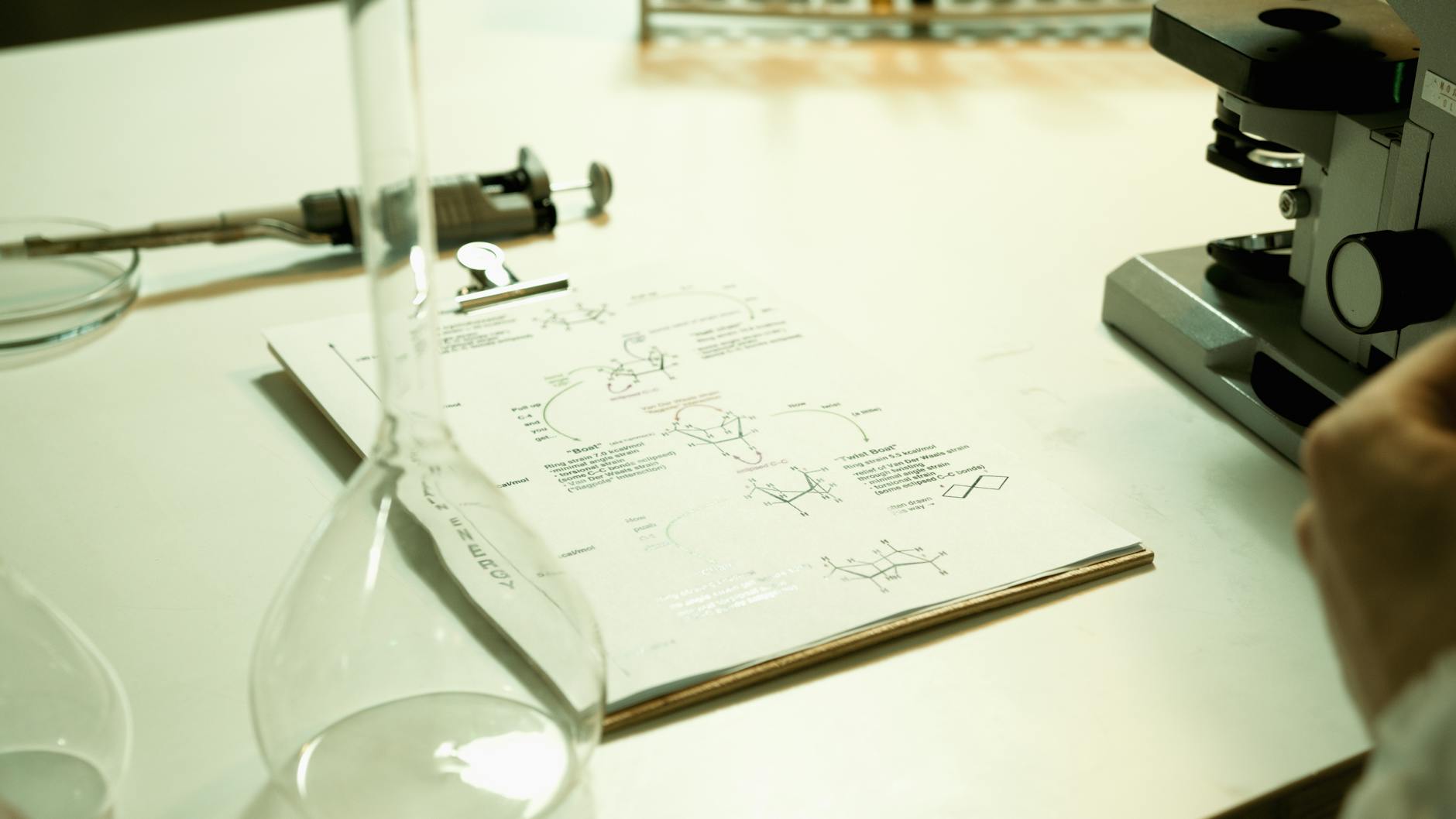 Mejora cognitiva con triptaminas: Investigación 2026