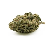CBD Blüten 15% Jealousy 5g – Premium...