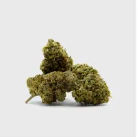 HHZ Blüten 3000 Sherblato Berry 5g – 50%...