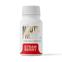 CBD/THC Mundspray Erdbeere 40 mg –...