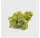 HHZ Blueten 3000 Amnesia Extreme 5g