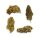 CBD Hash 20% CBD & CBG – 5 gram | 4-Pro-MET