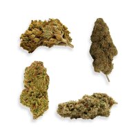 CBD Hash 20% CBD & CBG Skywalker – 5 Grams
